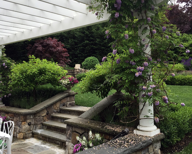 Bronxville Lilac Garden Design